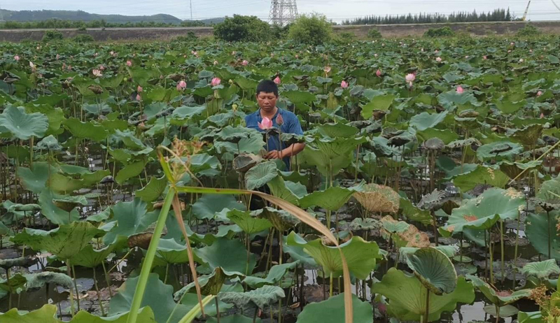 Quyết tâm làm giàu trên đất khó