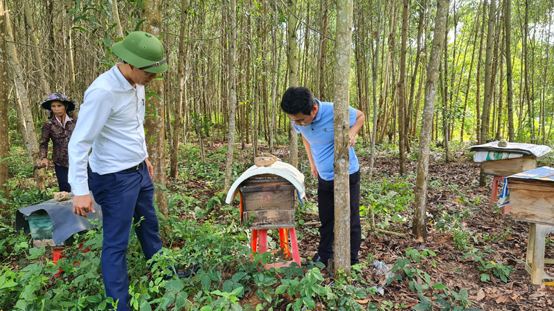 Bài 1: Vất vả công tác tạo nguồn