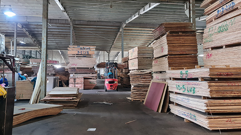 Gia hạn nộp thuế và tiền thuê đất năm 2022 cho người nộp thuế