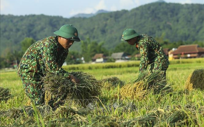 Đẩy mạnh xây dựng, chỉnh đốn Đảng và hệ thống chính trị