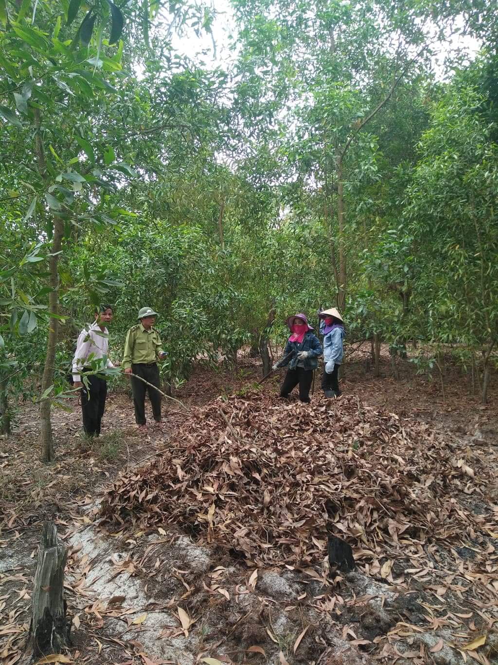 Chủ động phòng cháy, chữa cháy rừng