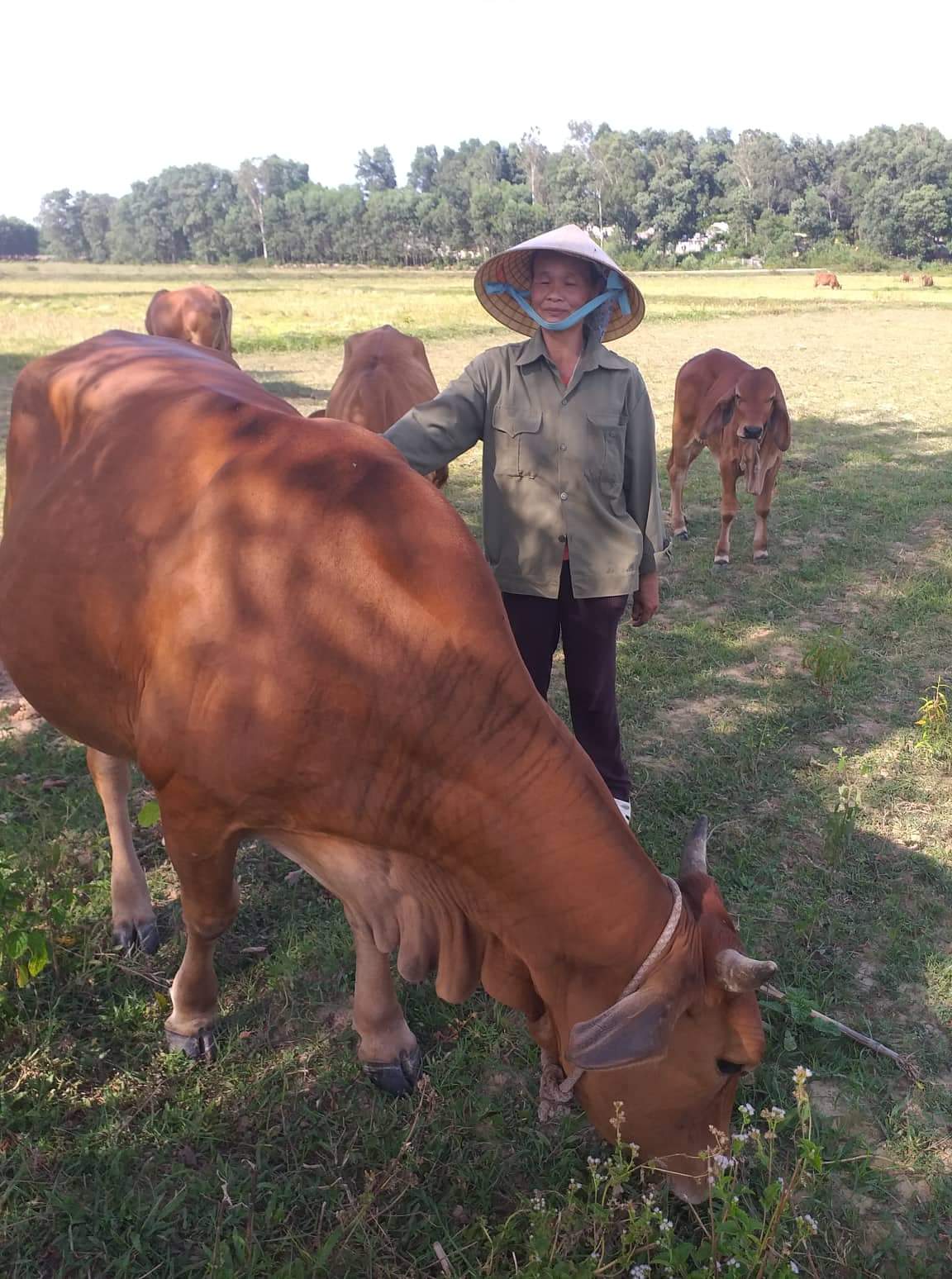 Hỗ trợ hội viên phát triển kinh tế