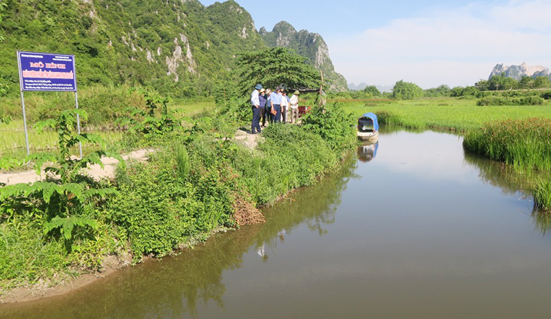 Sớm nhân rộng mô hình nuôi thương phẩm tôm càng xanh