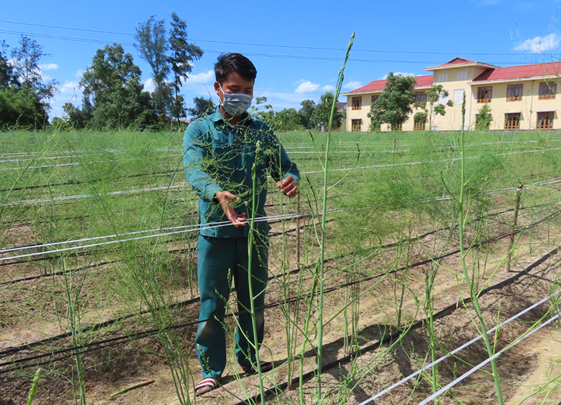 Nông dân thi đua sản xuất, kinh doanh giỏi