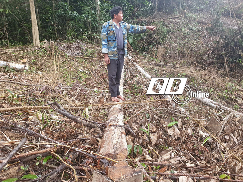 Nguyên Bí thư, Chủ tịch UBND xã Hóa Phúc bị khởi tố do chặt phá rừng của dân