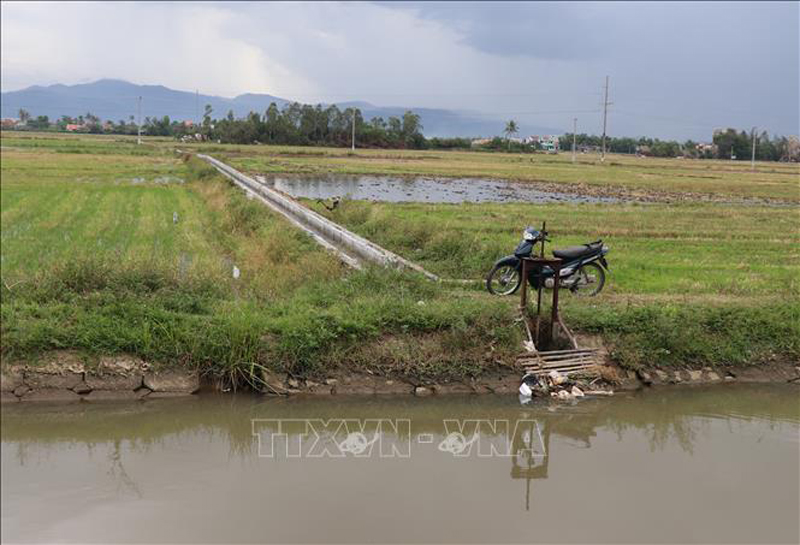 Miền Trung: Hàng nghìn ha canh tác nông nghiệp có thể thiếu nước do nắng nóng