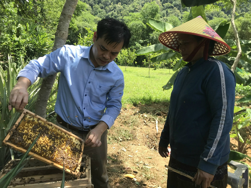 Quảng Ninh: Ứng dụng khoa học-công nghệ vào sản xuất