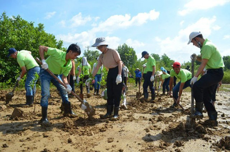 Tổ chức Liên hoan phim Môi trường toàn quốc lần thứ 8