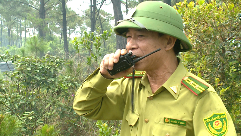 Cho rừng mãi xanh