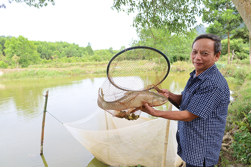 Nông dân Minh Hoá thi đua sản xuất kinh, doanh giỏi