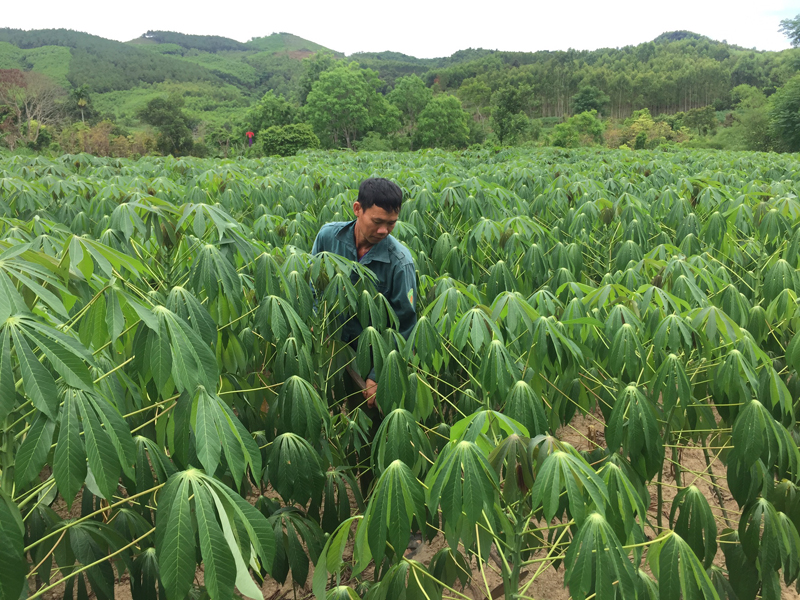 Đẩy mạnh công tác giảm nghèo