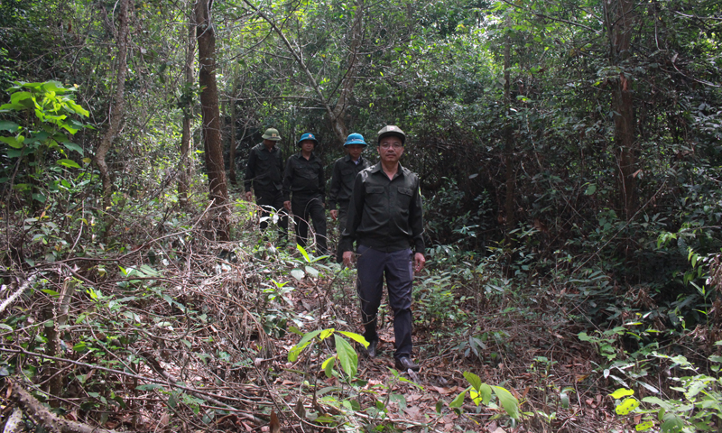 Gian nan giữ rừng phòng hộ