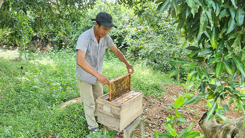 Giải quyết việc làm cho 1.271 lao động nông thôn