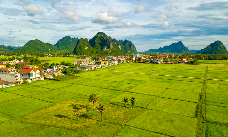 Chi bộ Đảng đầu tiên ra đời-bước ngoặt quan trọng trong phong trào cách mạng của huyện Minh Hóa