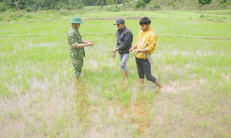 Nơi gửi niềm tin no ấm