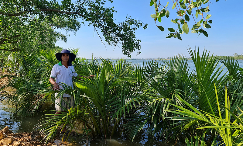 Biến đất hoang thành trang trại tiền tỷ