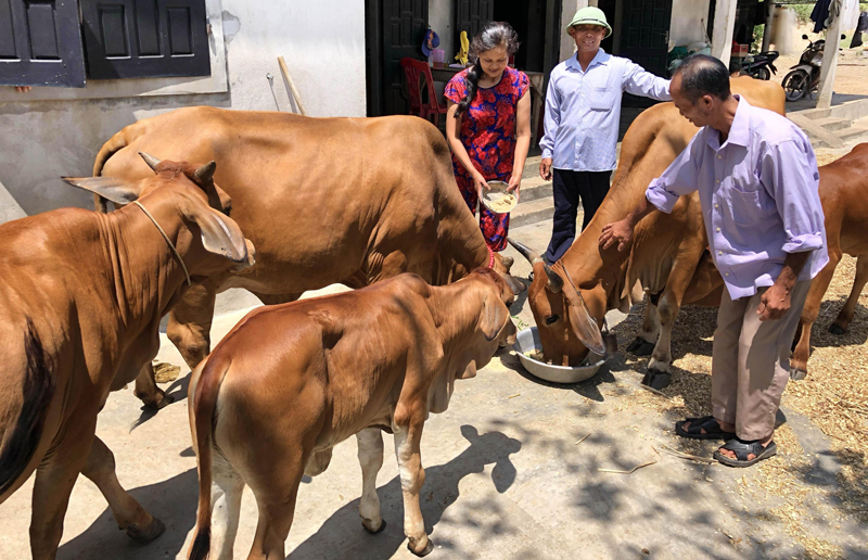 Nối dài "kênh" dẫn vốn cho phụ nữ nghèo