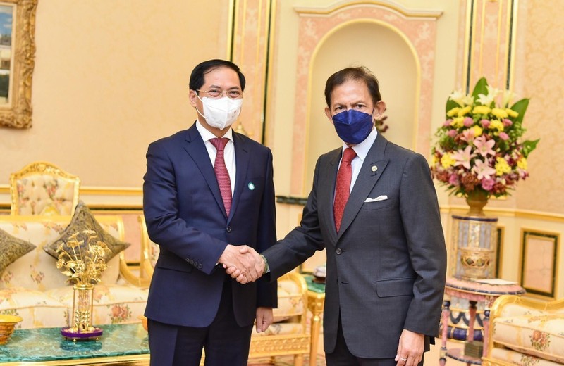 Thúc đẩy quan hệ Việt Nam-Brunei phát triển thực chất, sâu rộng