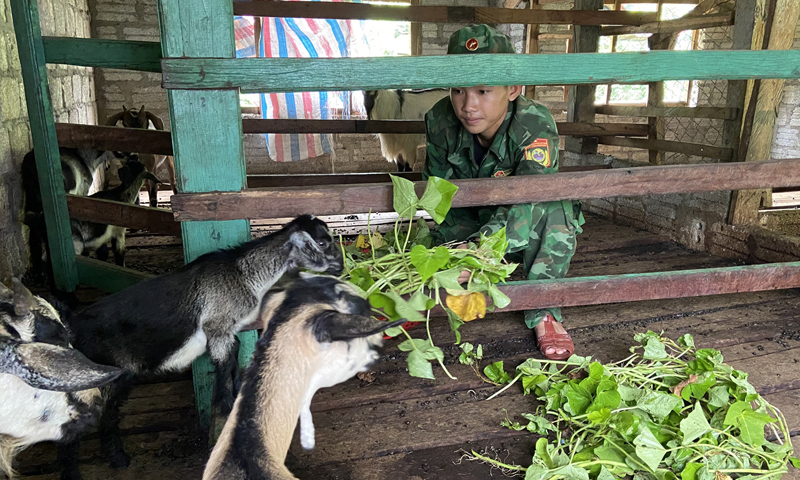 Tạo sức bật cho nông nghiệp phát triển