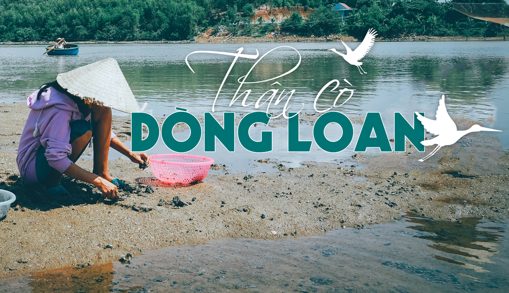 "Thân cò" dòng Loan