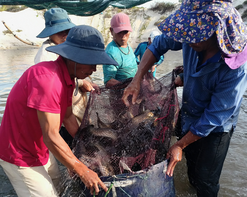 Bài 2: "Loay hoay" với mục tiêu đột phá