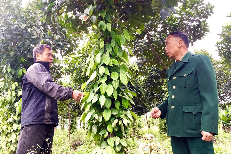 Người nông dân và cơ hội làm giàu