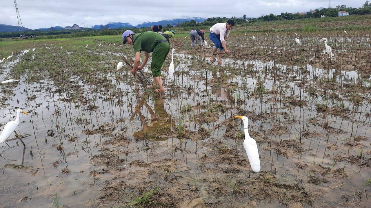 Ngăn chặn tình trạng đánh bắt chim trời trong mùa di cư