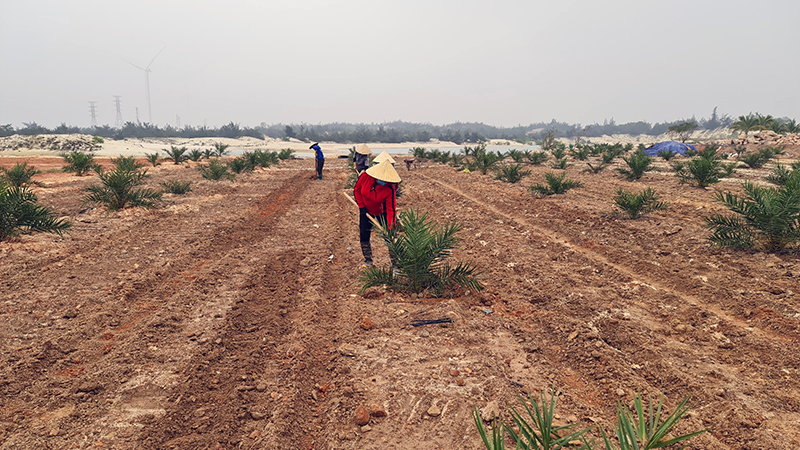 Quảng Ninh: Thu ngân sách đạt 107% dự toán