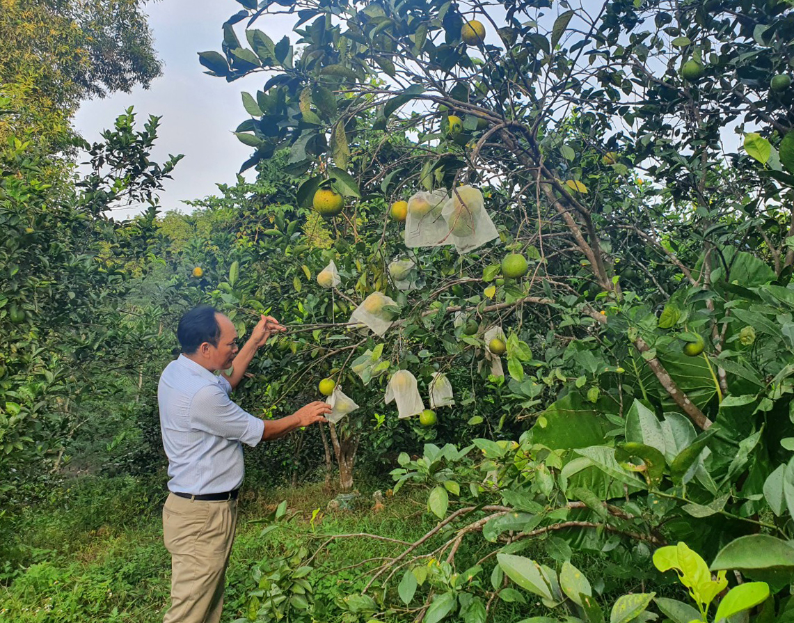 Lệ Thuỷ: Huy động nguồn lực xây dựng nông thôn mới