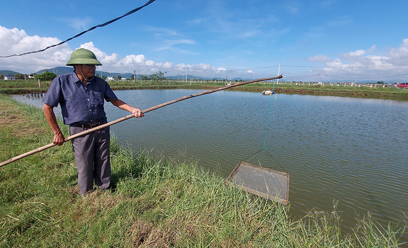 Quản lý cộng đồng trong nuôi trồng thủy sản