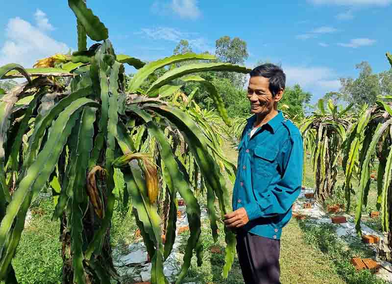 Bố Trạch: Nâng cao thu nhập từ mô hình vườn mẫu