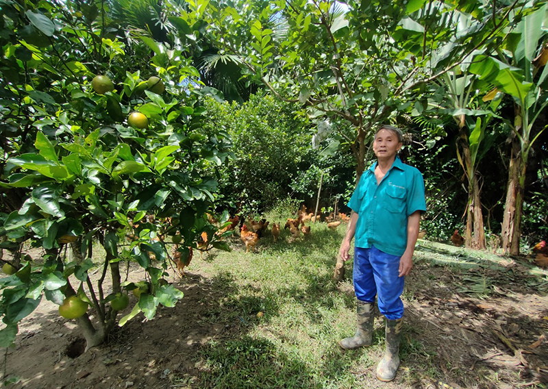 Hỗ trợ nông dân thoát nghèo bền vững