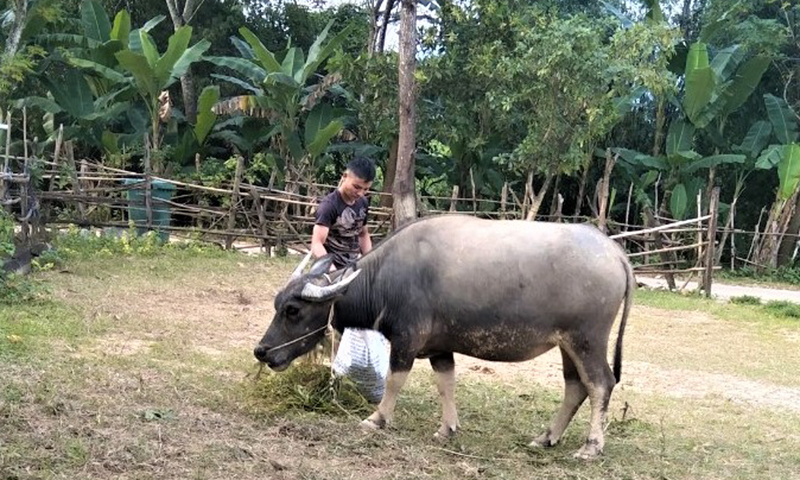 Minh Hóa: Chú trọng giải quyết việc làm cho lao động
