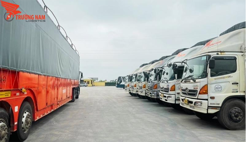 Trường Nam Logistics vận chuyển xe tải hàng ghép, nguyên chiếc giá tốt nhất