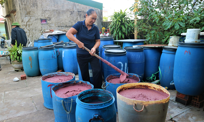 Làm giàu từ nghề chế biến hải sản