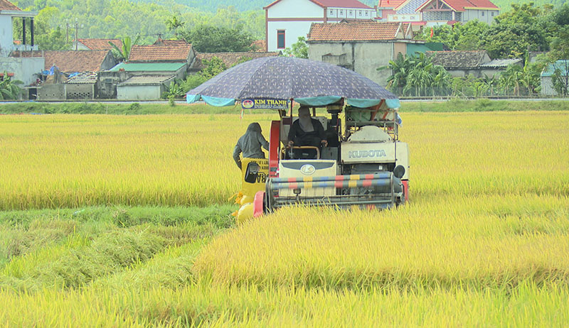 Hiệu quả từ ứng dụng cơ giới hóa trong sản xuất nông nghiệp