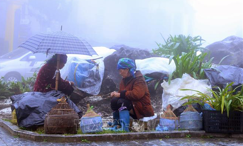 Gần sáng 17/12, Bắc Bộ, Bắc Trung Bộ sẽ rét đậm, rét hại trên diện rộng và kéo dài