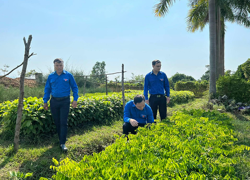 Cùng thanh niên lập nghiệp