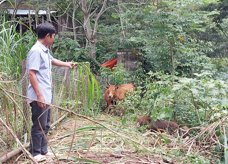 Trên 5.500 lượt hộ nghèo, cận nghèo được vay vốn phát triển kinh tế