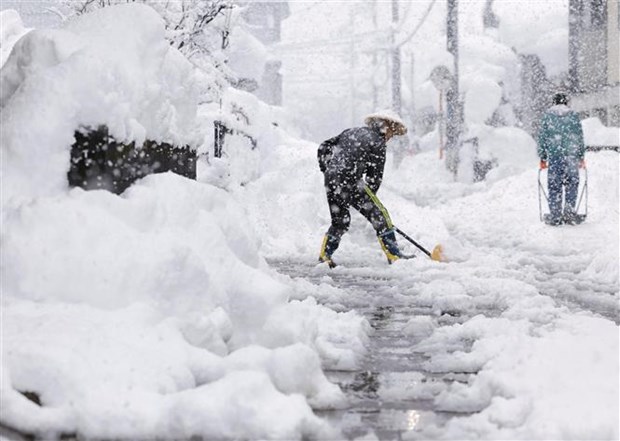 Tuyết rơi dày đặc ở Nhật Bản khiến nhiều người thiệt mạng và bị thương