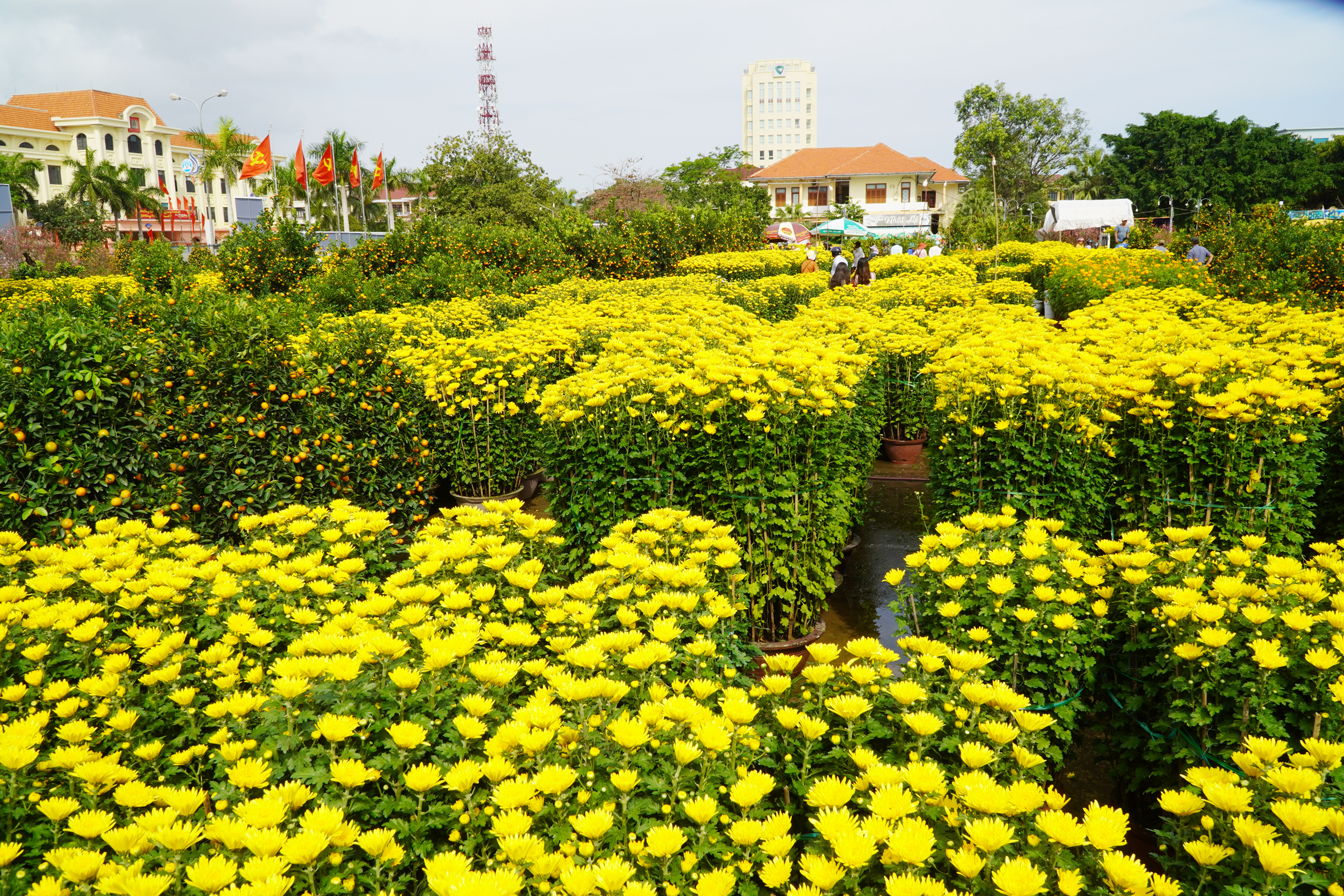 Nhớ Tết quê