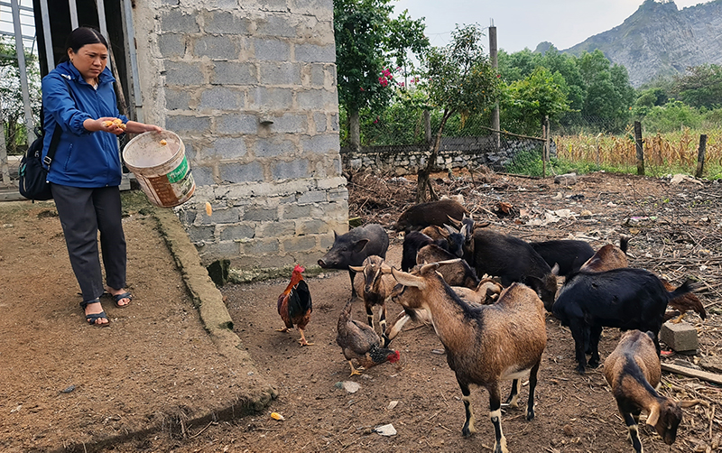 Tìm "ánh sáng" từ trong bóng tối