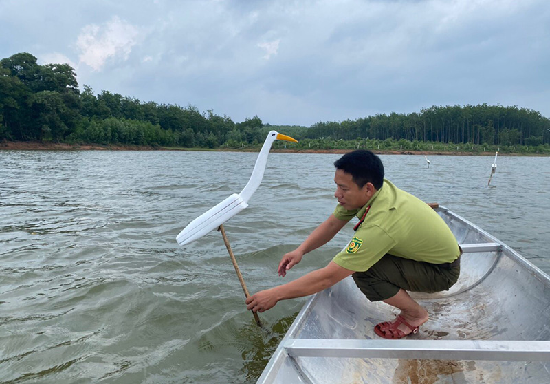 Bảo vệ đàn chim hoang dã, di cư