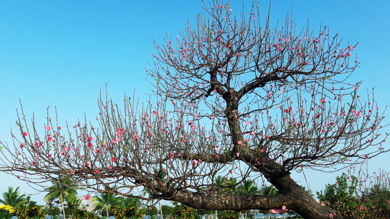 Quảng Bình muôn vẻ