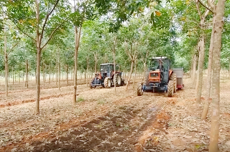 Vững tin trên chặng đường mới