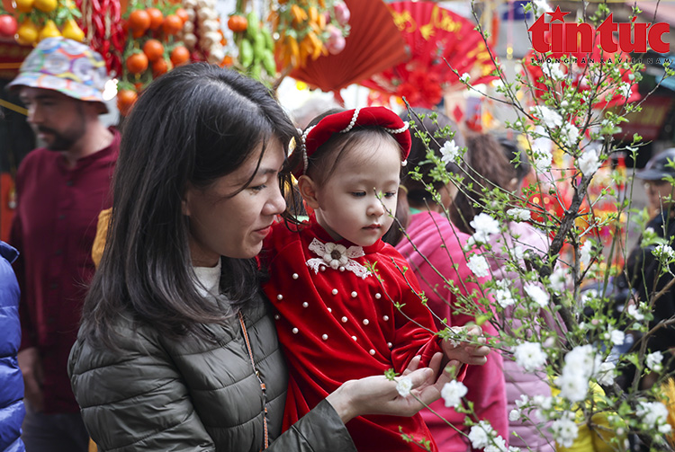 Thời tiết ngày 20/1: Bắc Bộ trời nắng, Trung Bộ và Tây Nguyên có mưa rải rác