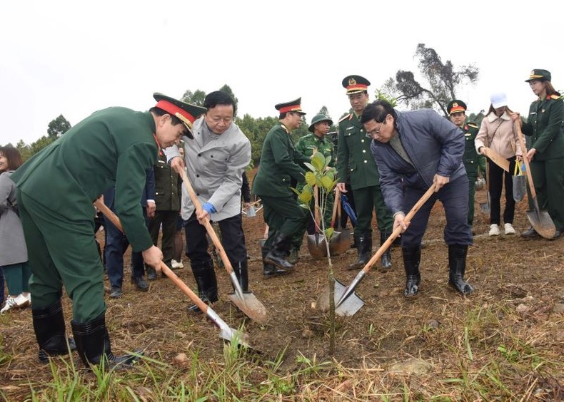 Vì một Việt Nam xanh, góp phần chống biến đổi khí hậu toàn cầu