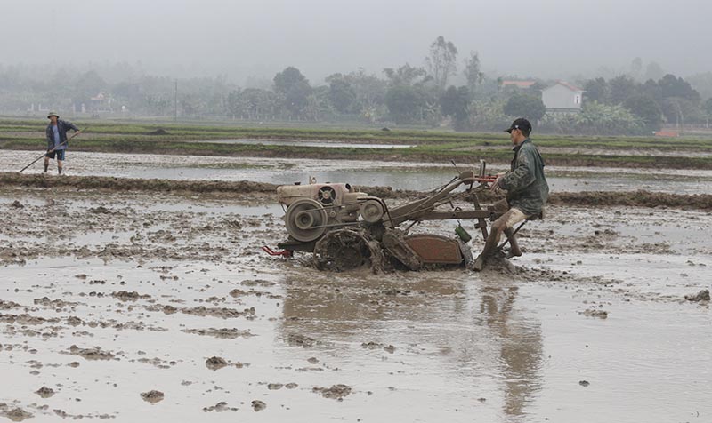 Chủ động cho vụ mùa thắng lợi