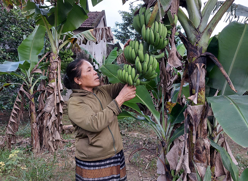 "Đòn bẩy" xoá đói giảm nghèo