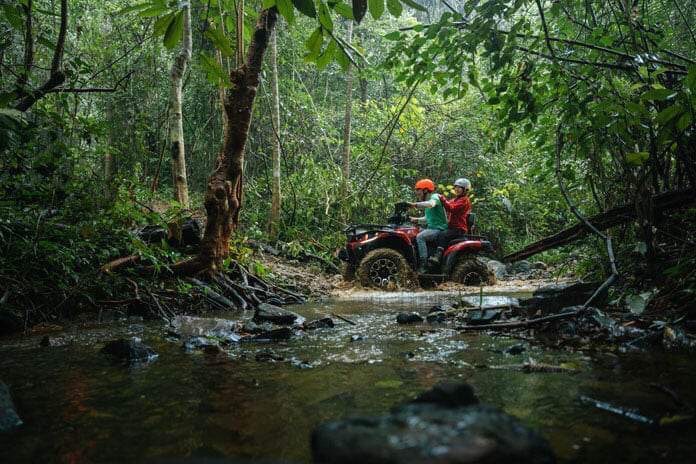 Mở tour khám phá rừng lim tại xã Tân Hóa